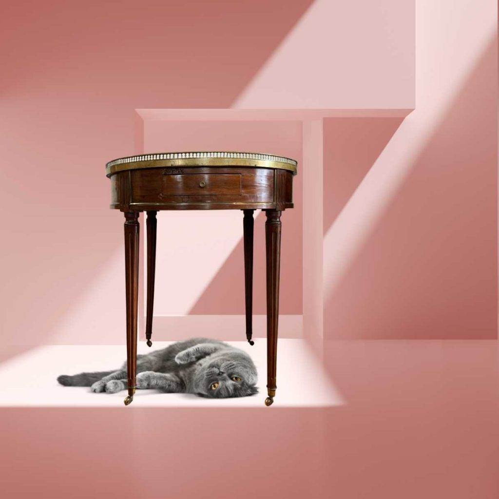 Salontisch im Stil Louis Seize
